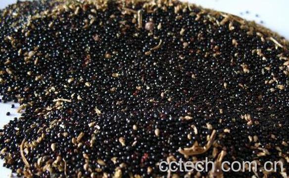 苋菜籽的功效与作用-0