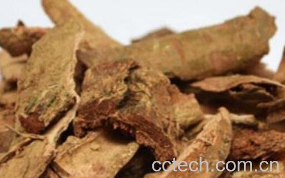 地榆的功效与作用及药用价值-1