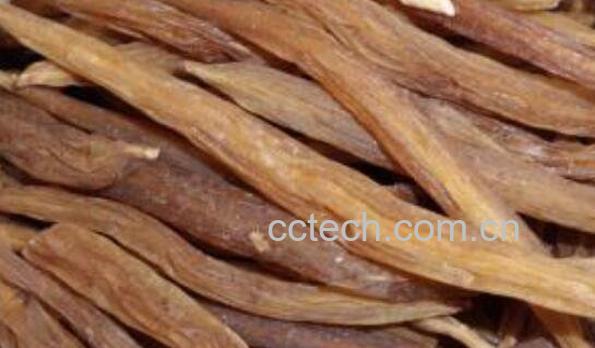 天冬的功效与作用 天冬图片-1