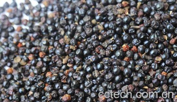 射干种子的功效与作用 射干种子图片-1