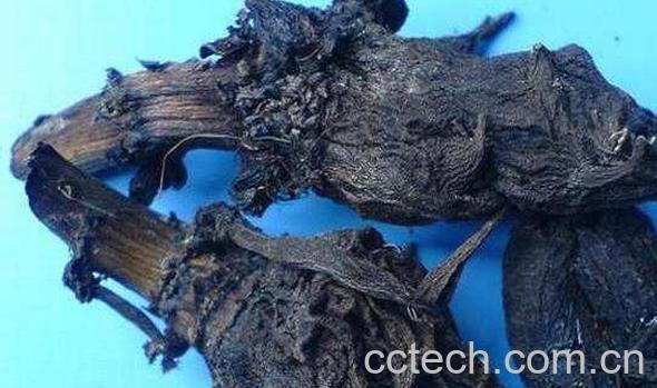 制草乌的功效与作用 制草乌的药用价值-1