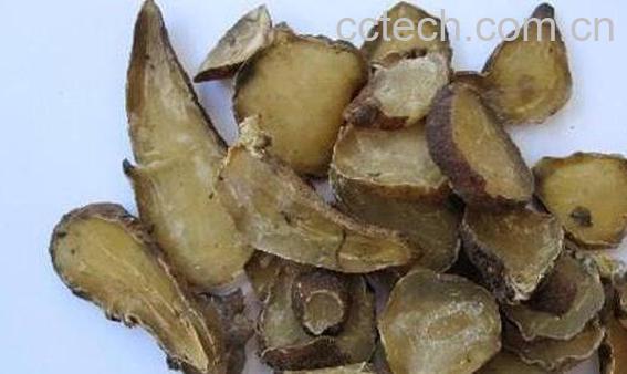 黑顺片的功效与作用-1