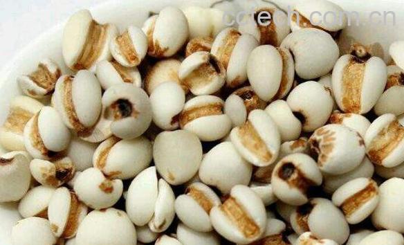 米仁的功效与作用-0