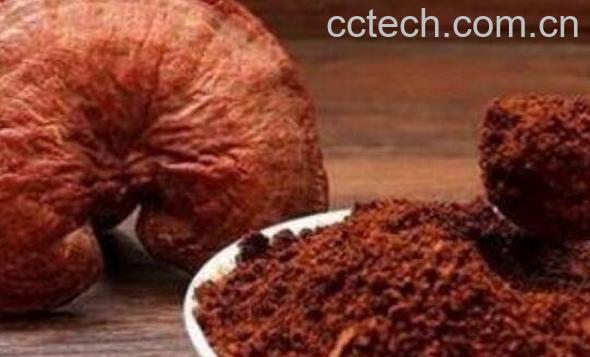 灵芝孢子粉的功效与作用 吃灵芝孢子粉的好处-0