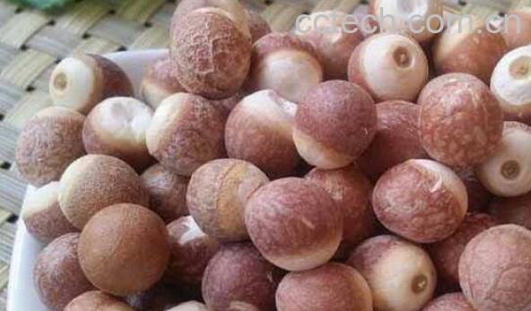 芡实粉的功效与作用-1