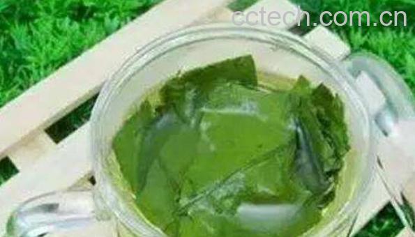 荷叶泡水喝的功效与作用 荷叶怎么泡水喝-0