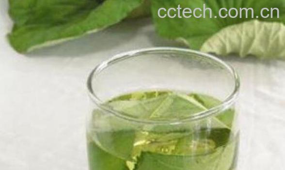 荷叶泡水喝的功效与作用 荷叶怎么泡水喝-1