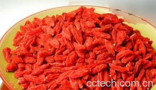 红枸杞子的作用与功效-0