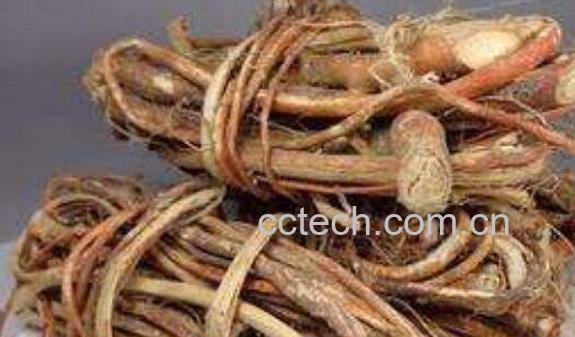 五指毛桃根的功效与作用-0