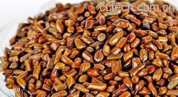 决明子怎么减肥 决明子的减肥功效-0