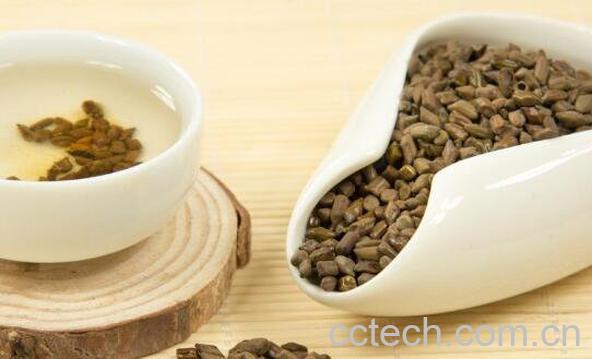 决明子怎么减肥 决明子的减肥功效-1