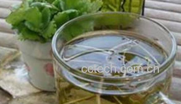 鱼腥草泡水喝的功效 鱼腥草怎么泡水喝-0