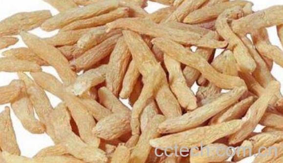 太子参的功效与作用及食用方法-1