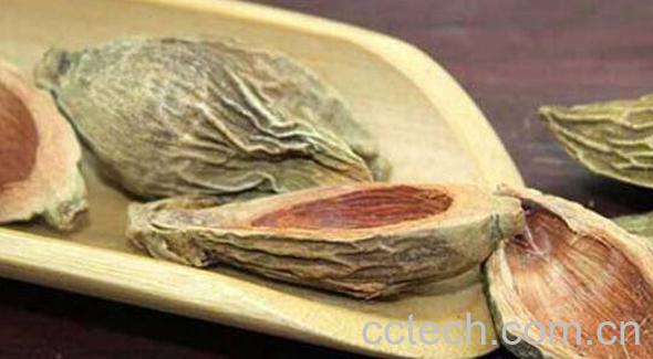 大腹皮的功效与作用及药用价值-0