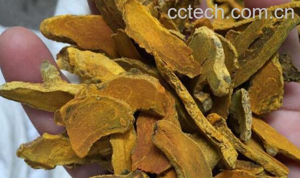 郁金的功效与作用 郁金的食疗用法-1