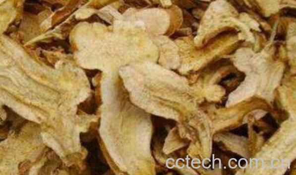 生白术的功效与作用及药用价值-1