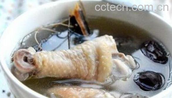 五指毛桃煲汤配什么 五指毛桃配什么煲汤好-0