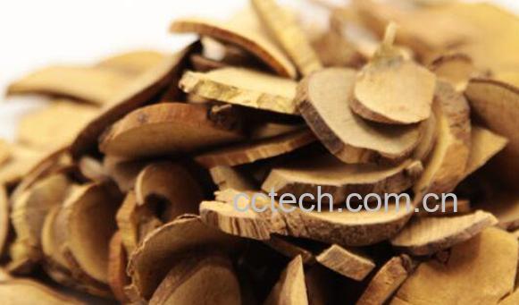 乌药的功效与作用及药用价值-0