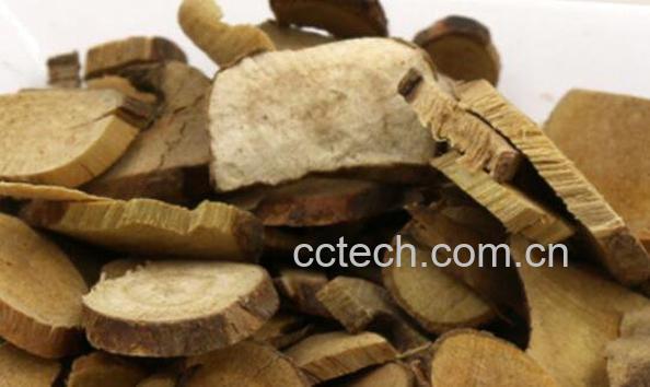 乌药的功效与作用及药用价值-1