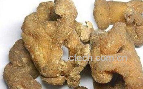 黄精的功效与作用 黄精的食用方法-1