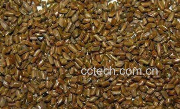 决明子和黄荆子哪个好 决明子的功效与作用-0