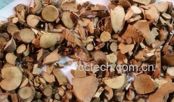 台乌药的功效与作用-0