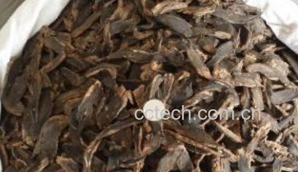 玄参的作用与功效-0