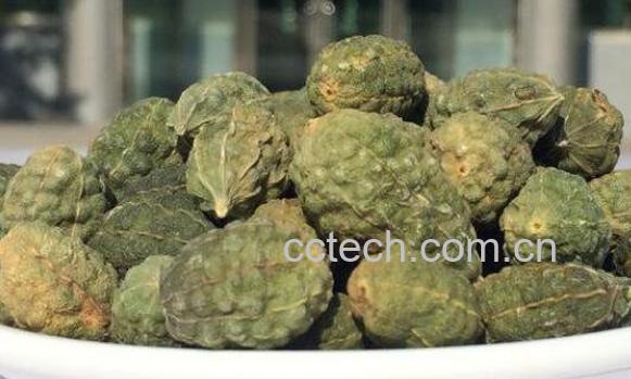 野西瓜的功效与作用-1