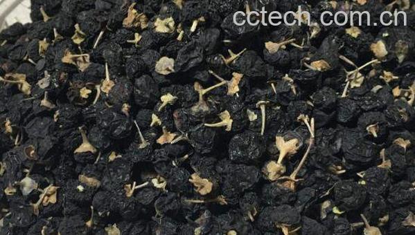 黑枸杞怎么吃最好 黑枸杞的正确吃法-1