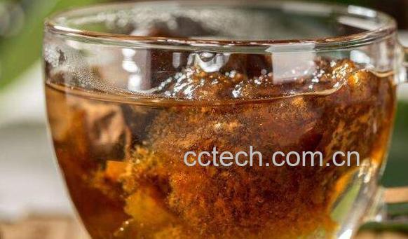 胖大海的功效与作用 胖大海的食用禁忌-0