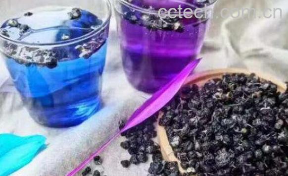 黑枸杞如何泡酒 黑枸杞泡酒的功效与作用-1