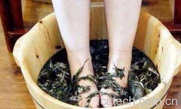 艾叶泡脚的功效与作用 艾草泡脚的禁忌-0