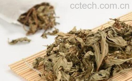 艾叶泡脚的功效与作用 艾草泡脚的禁忌-1