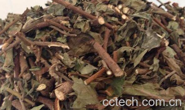 山甘草的功效与作用及药用价值-0