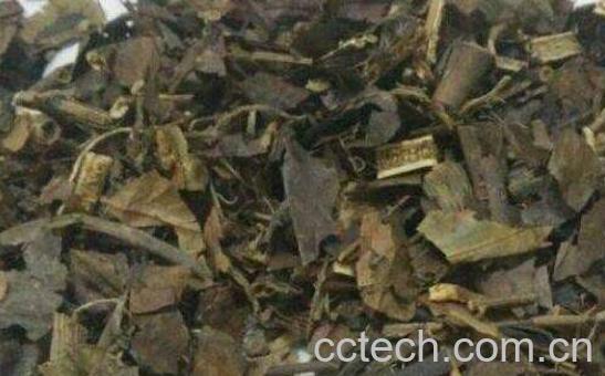 九节茶泡酒有什么功效 九节茶怎么泡酒-1