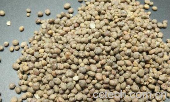 急性子的功效与作用 中药急性子的副作用-1