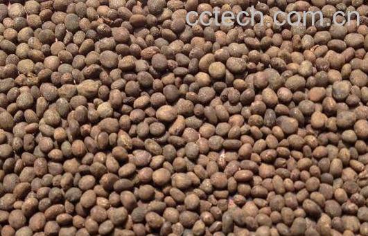 急性子的功效与作用 中药急性子的副作用-0