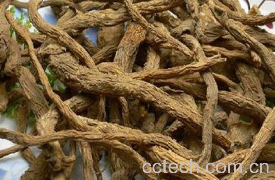  棕板的功效与作用及药用价值-0