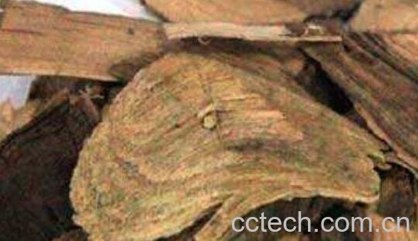 草乌的功效与作用 草乌的食疗用法-1