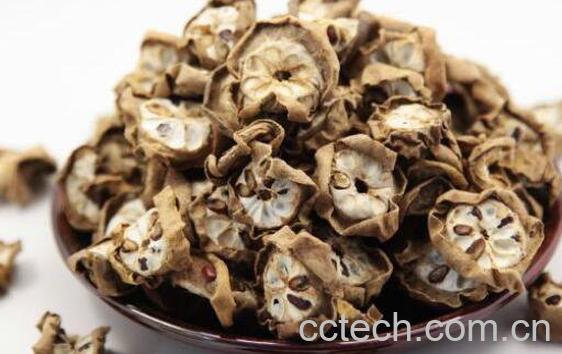 八月扎的功效与作用及药用价值-0