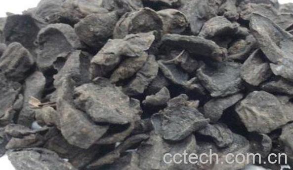 制草乌的功效与作用及药用价值-1