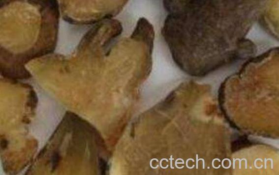 黑顺片是什么 黑顺片的功效与药用价值-0