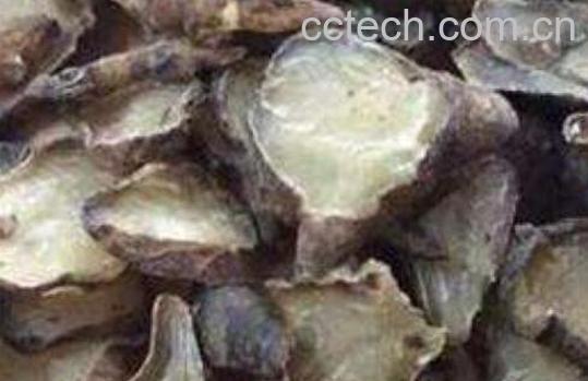 黑顺片是什么 黑顺片的功效与药用价值-1