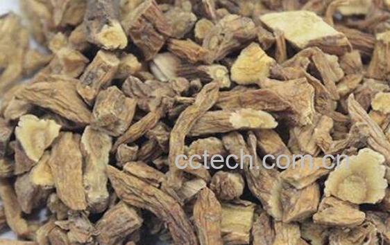 秦艽的功效与作用-1