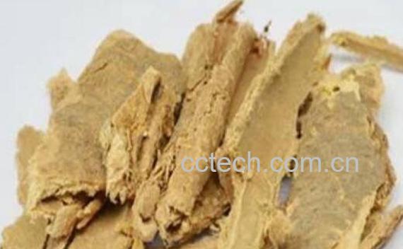 椿白皮的功效与作用及药用价值-0