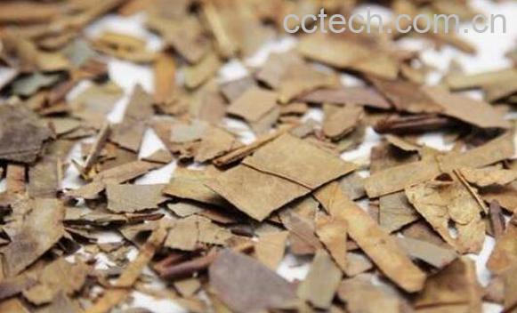 石南叶的功效与作用及药用价值-0