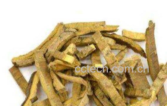 石南叶的功效与作用及药用价值-1