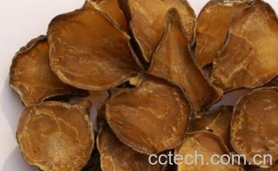 黑顺片的功效与作用-0