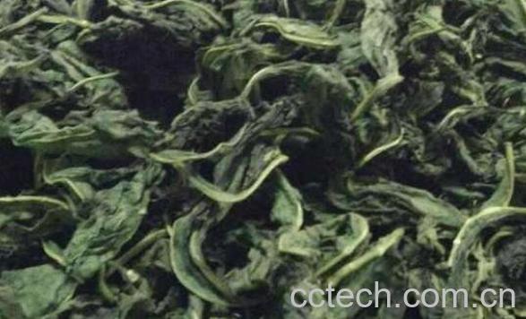 南非叶的功效与作用及食用方法-1