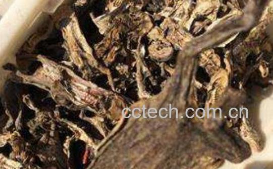 干蟾的功效与作用及药用价值-0